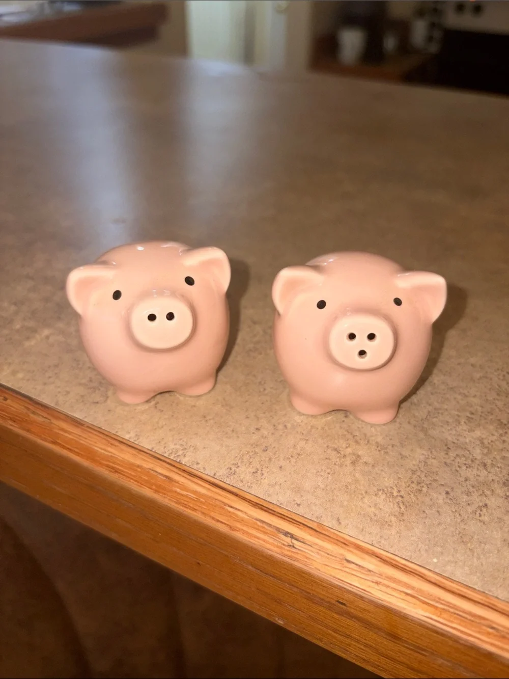 RARE Two’s company Pig Salt & Pepper shakers